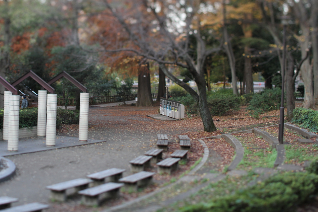 石神井公園４