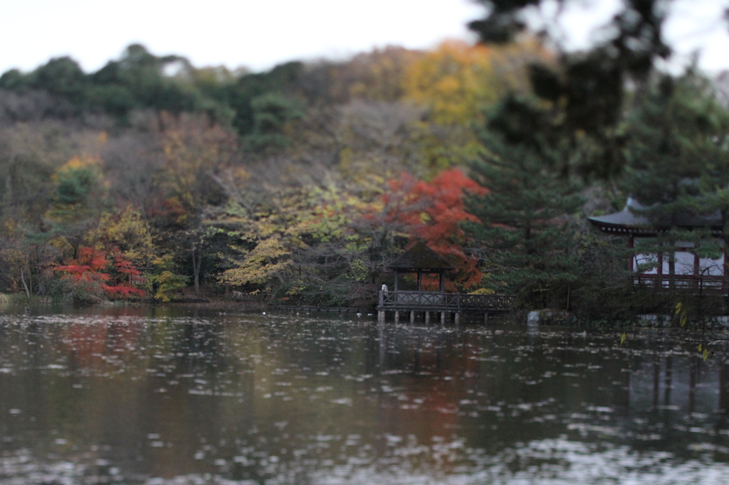 石神井公園１