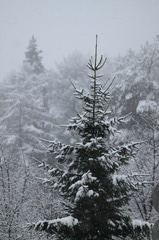 IMG_2038