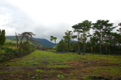 蒜山高原