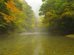 清流の中