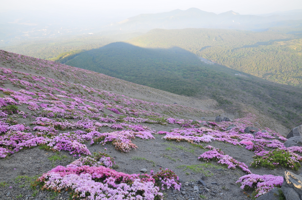 ピンクの山