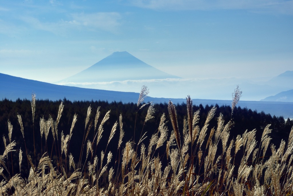 富士山拝めた！