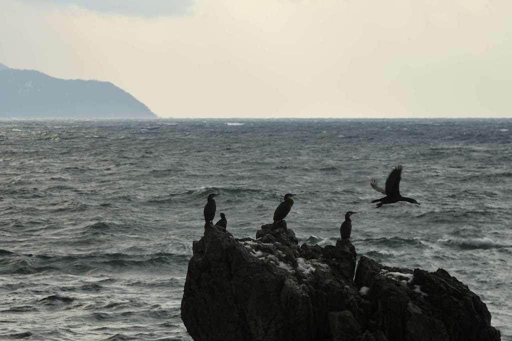 越前海岸にて