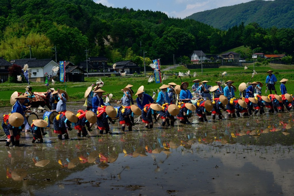 花田植（大土山田楽）