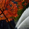 大噴水と紅葉