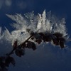 雪の芸術品