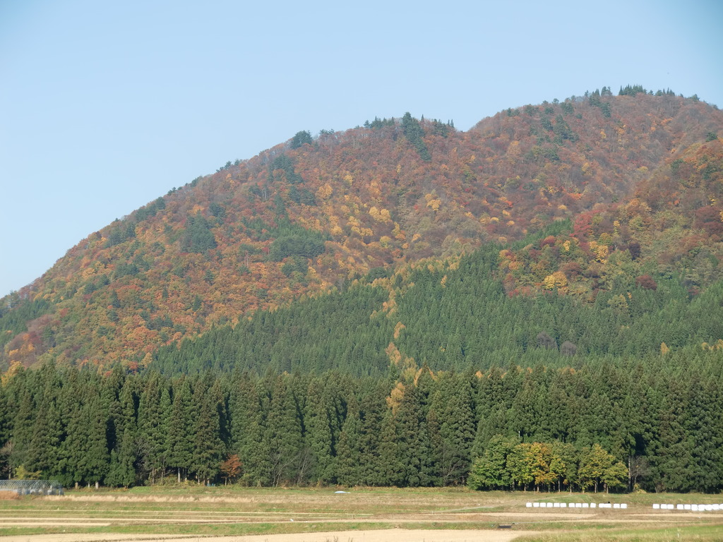 稲川町の山