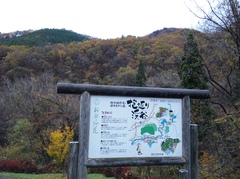 以上