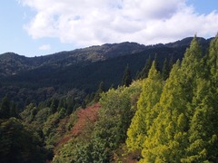 旭川ダム　秋田市