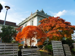 青森銀行記念館の裏