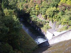 ダム　覗く