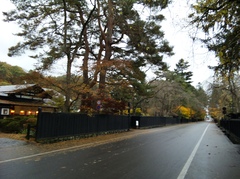 制限速度３０ｋｍ