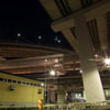 Tokyo Night Star