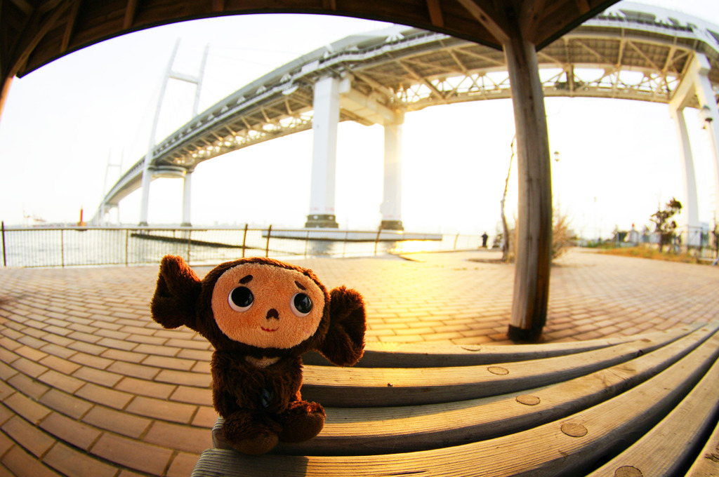 Cheburashka