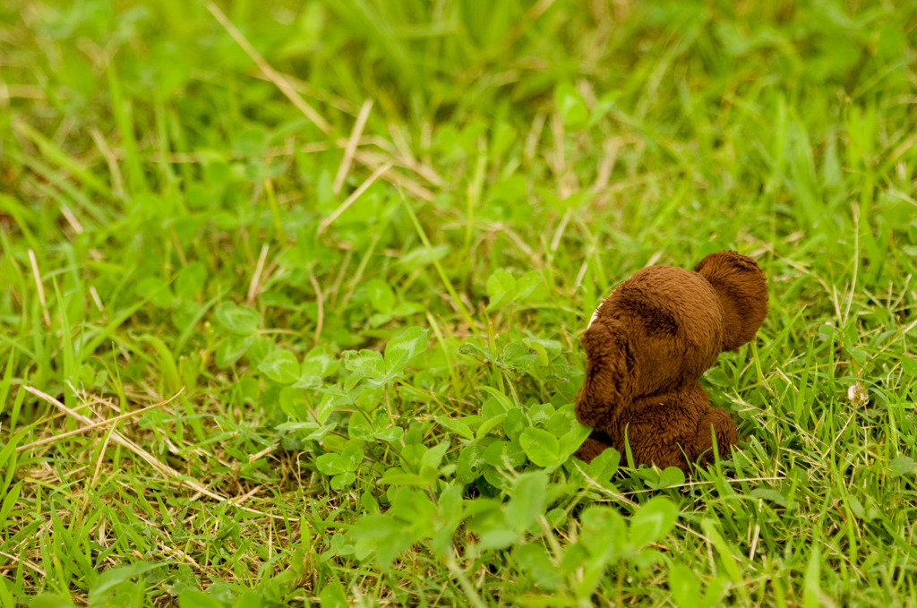 Cheburashka