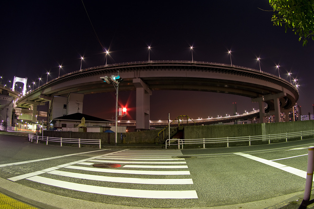 Tokyo Night Star