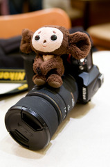 Cheburashka