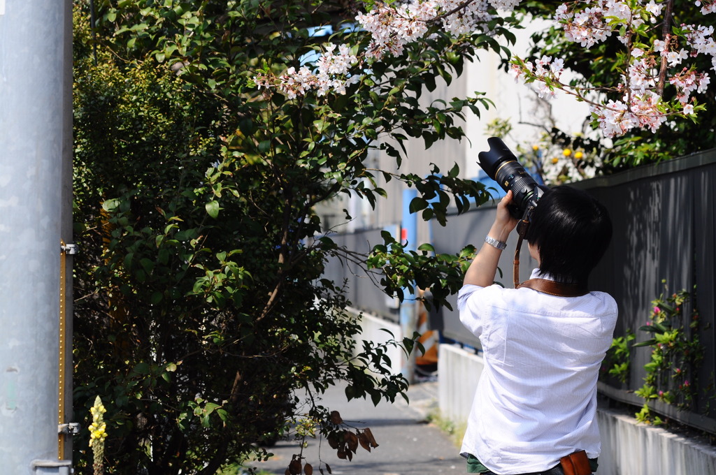 sugaphoto