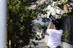 sugaphoto