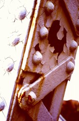 texture