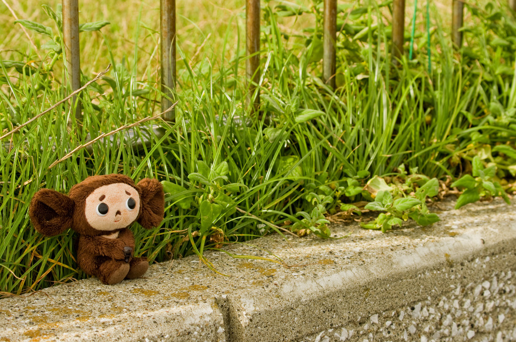 Cheburashka