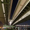 Tokyo Night Star