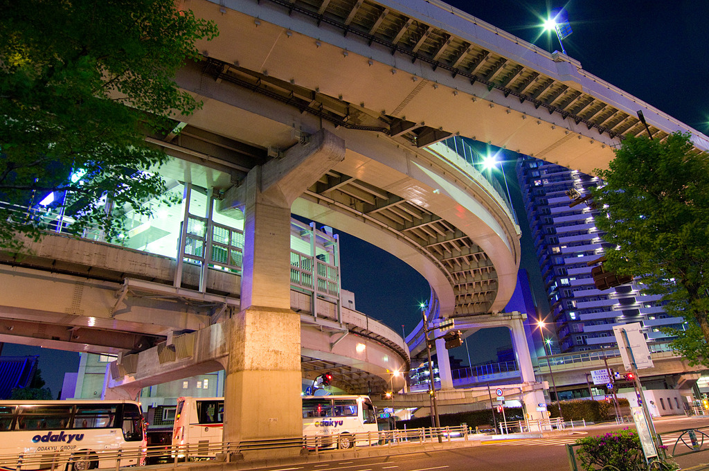 Tokyo Night Star