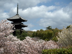 京都－仁和寺