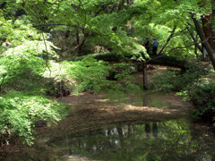 六義園