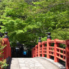 伊豆－修善寺