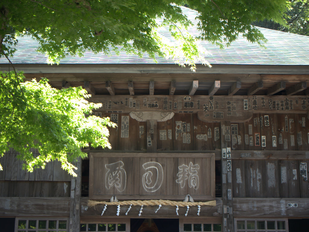 伊豆－修善寺