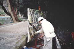 画伯