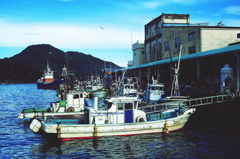 魚市場 AM7:15　