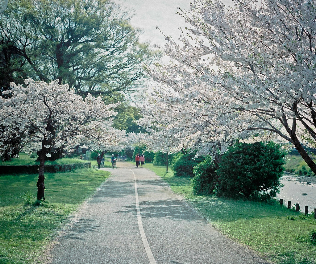 日曜の午後