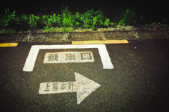 空振り青ガエル