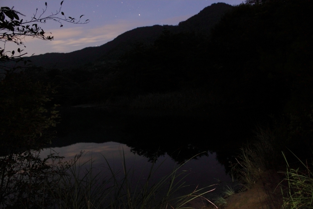 池に瞬く星