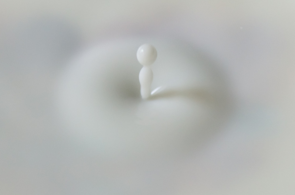 白い妖精（木霊風）