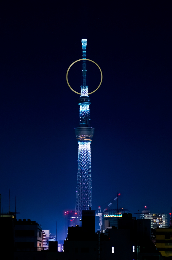 金・環・木・夜
