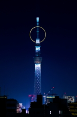 金・環・木・夜