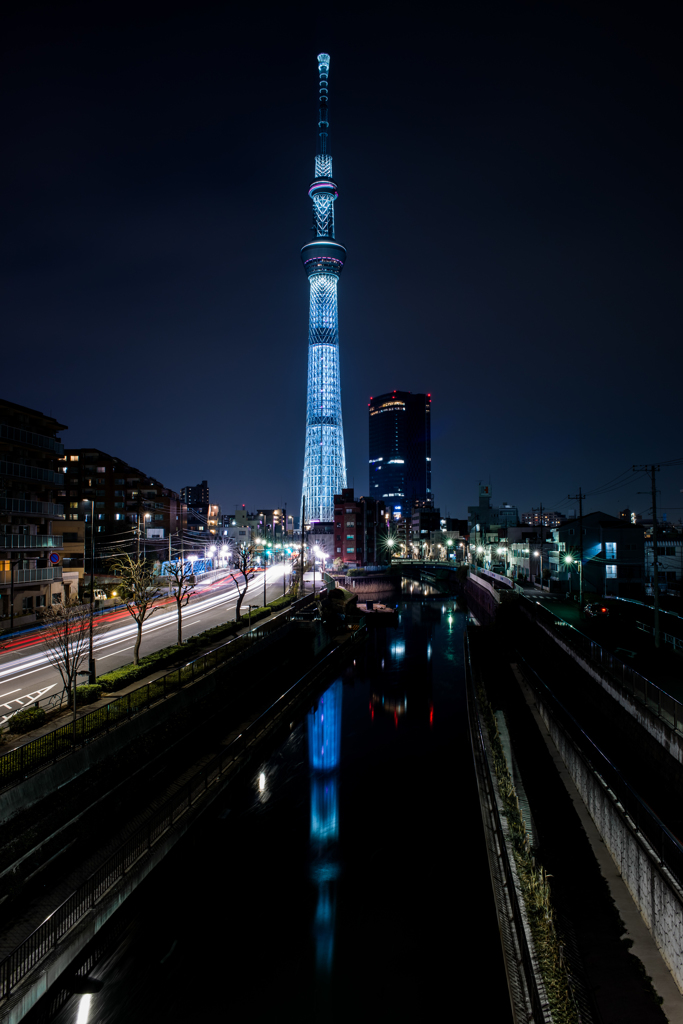 東京スカイツリーが咲ました