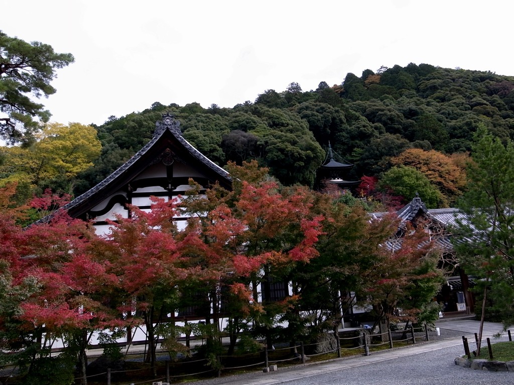 京都・永観堂の紅葉