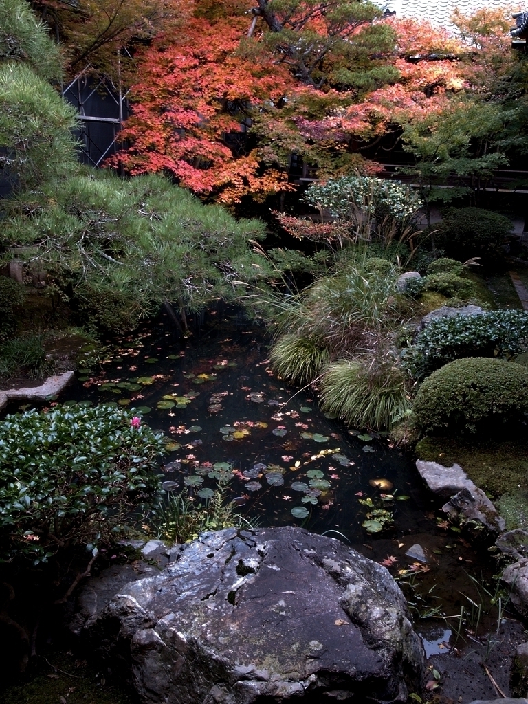 京都・永観堂の紅葉