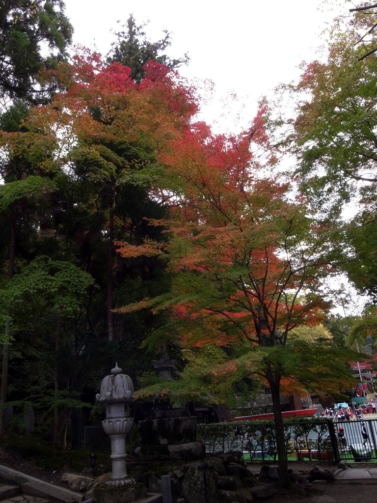 京都・永観堂の紅葉