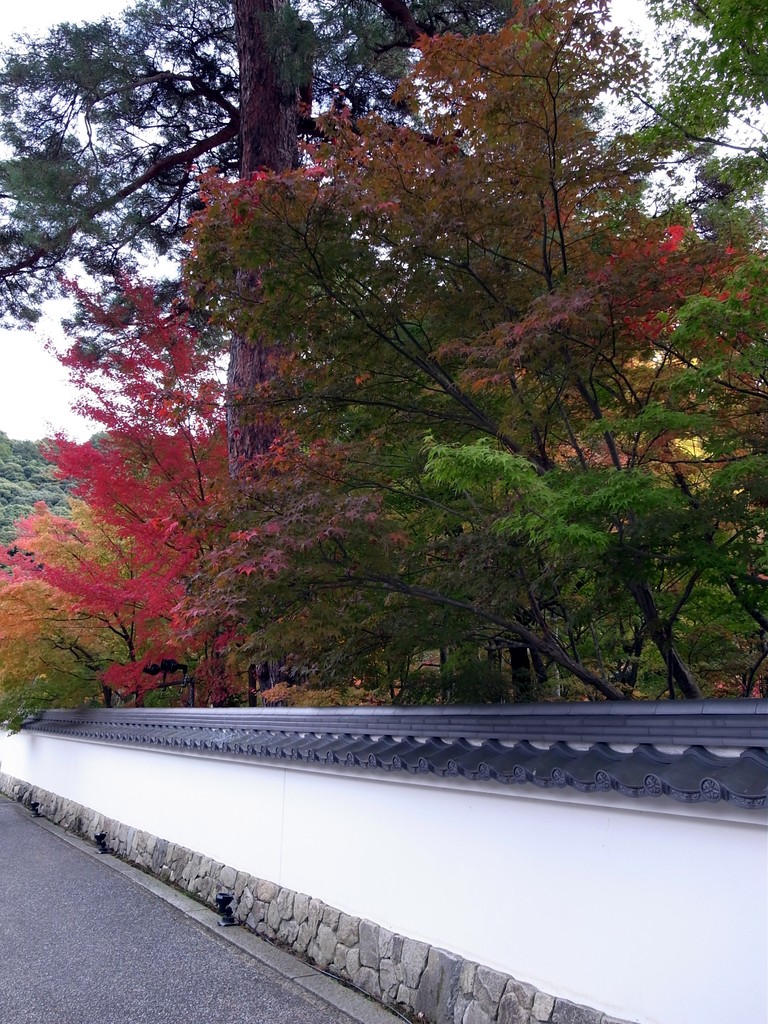 京都・永観堂の紅葉