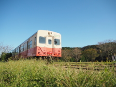 のんびり・・・