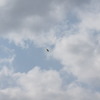 鳥？・・・