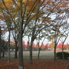 公園1