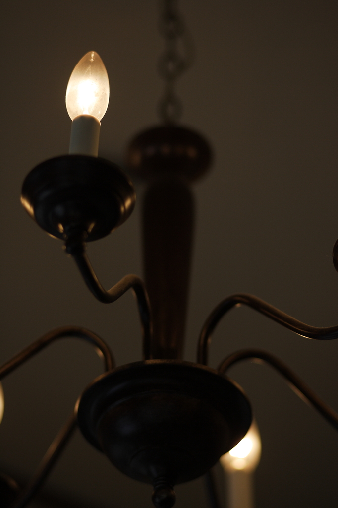 Lamp・・・