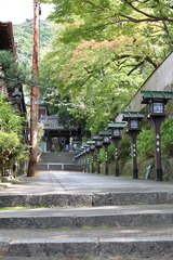 京都散歩道